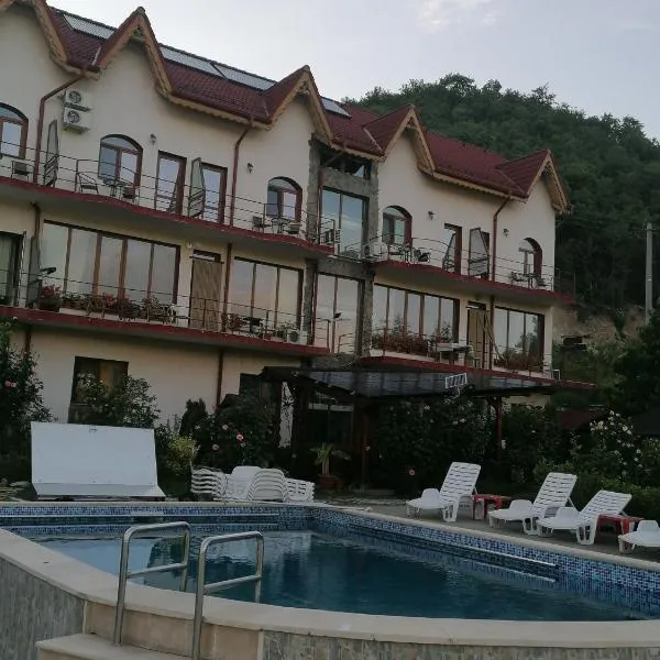 Cabana Delfinul - Cazanele Dunarii，位于(( Plavişeviţa ))的酒店