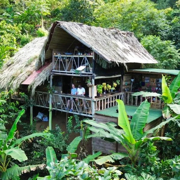 Finca La Selvita Chocolate experience，位于伯里塔卡的酒店