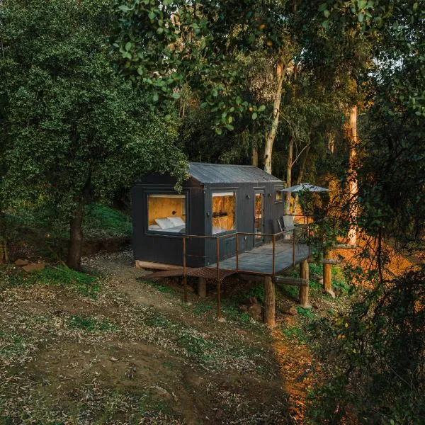 Cabins entre bosques y viñedos con vistas al valle - Tucu cabins，位于Maipo的酒店