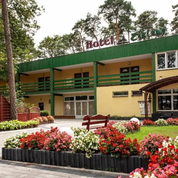 Hotel Zielony & OW Borowik & Pensjonat Manhattan - Centrum Rekreacji i Wypoczynku GASTROTUR，位于图拉瓦的酒店