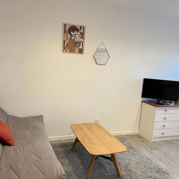Agreable studio proche du circuit du Mans，位于阿纳齐的酒店