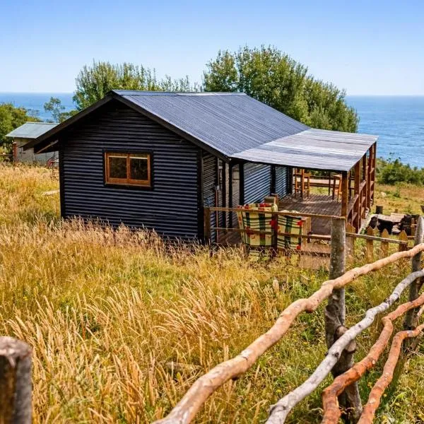 Cabaña en borde costero，位于Chaihuín的酒店