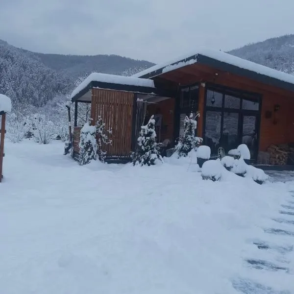 Casuta de sub stanca Apuseni,hot tub inclus，位于Bîrdeşti的酒店