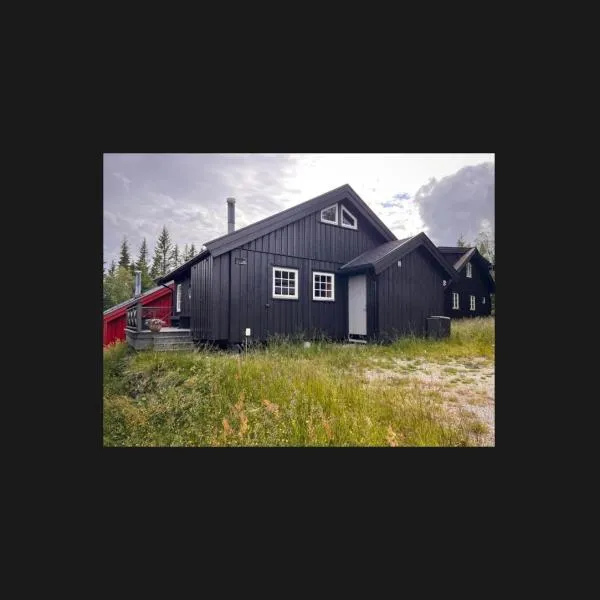 Hytte på Norefjell，位于Surteberg的酒店