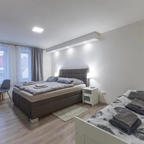 Apartmán U Zlaté hroudy，位于兹拉特霍里的酒店