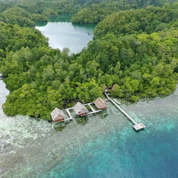 Raja Ampat Holidays，位于Besir的酒店