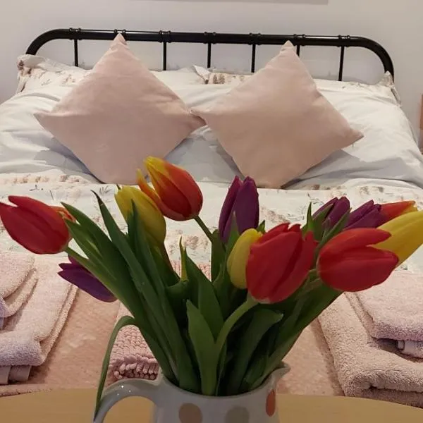 The Snug，位于Haddenham的酒店