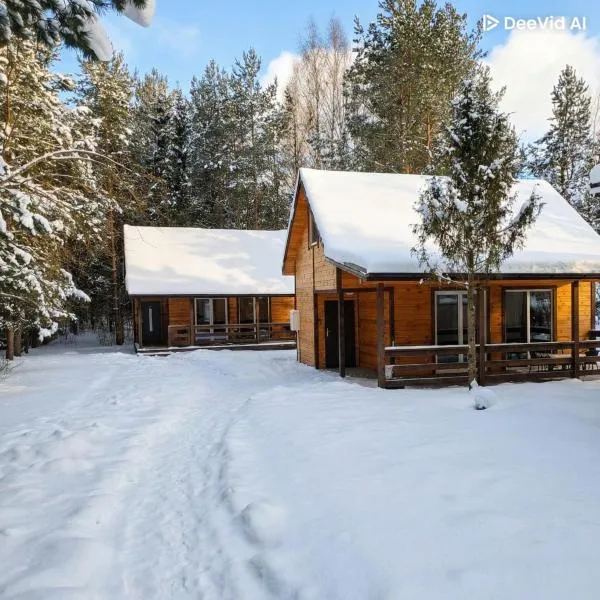 Zagajnik Białowieża，位于比亚沃维耶扎的酒店