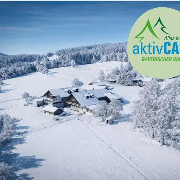 Hotel Hirschenstein，位于阿赫斯拉赫的酒店