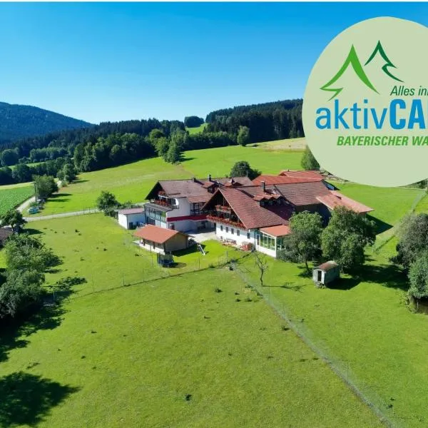 Hotel Hirschenstein，位于阿赫斯拉赫的酒店