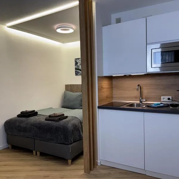 BEST VIEW Winterberg - Kleines Studio Apartment，位于温特贝格的酒店