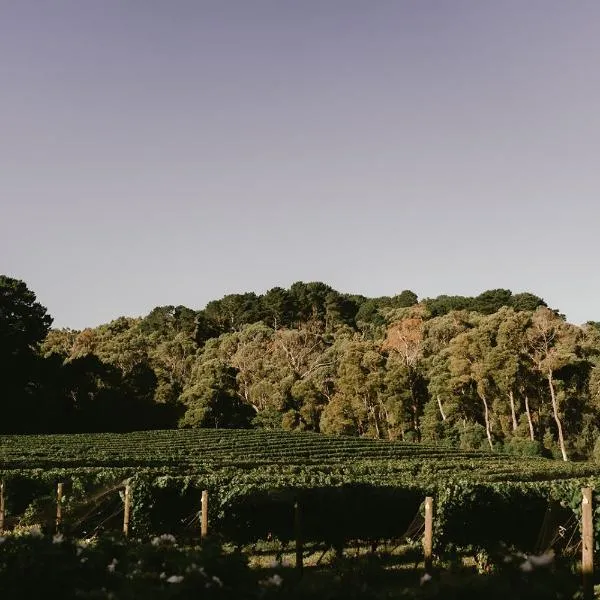 Mantons Creek Estate，位于Shoreham的酒店