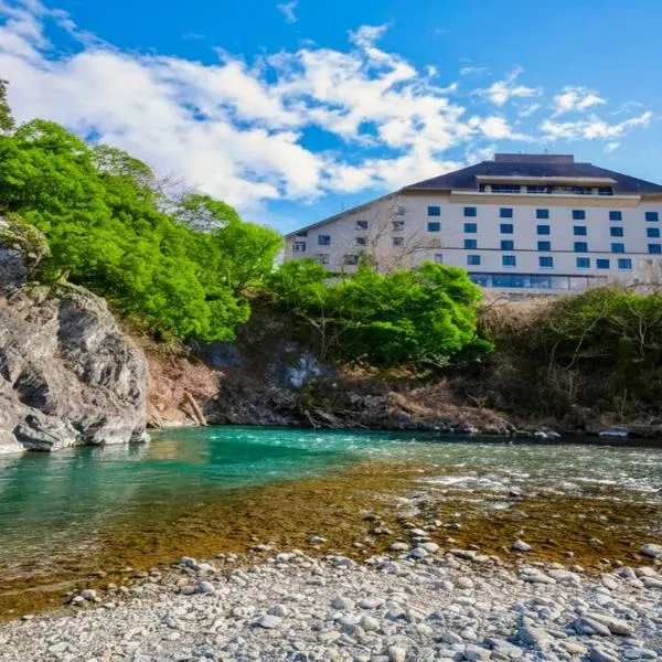 KAMENOI HOTEL Ome，位于青梅市的酒店