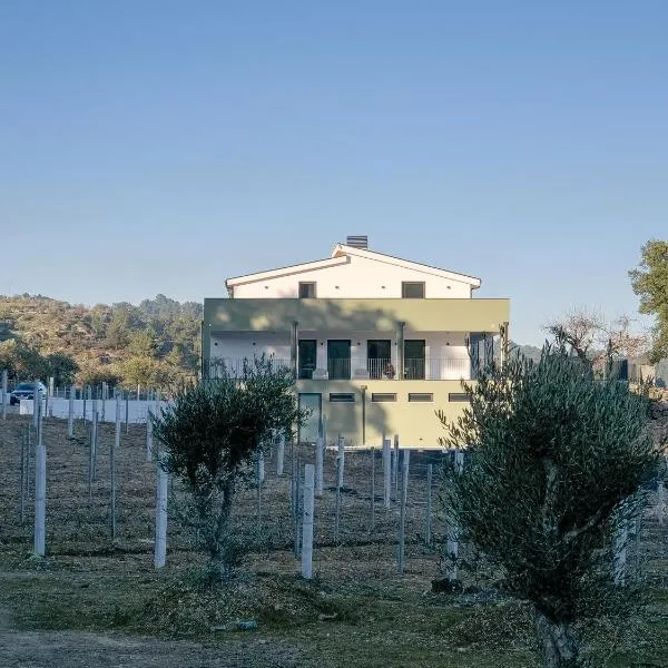 Raposa Verde - Agroturismo，位于Pegarinhos的酒店