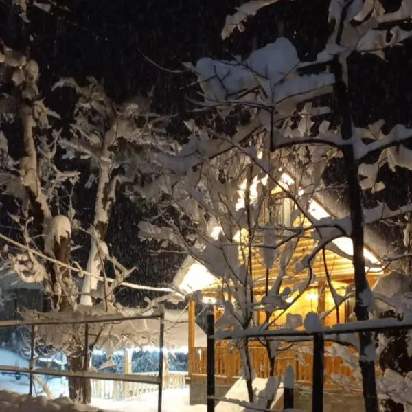 Sabauri，位于Khulo的酒店