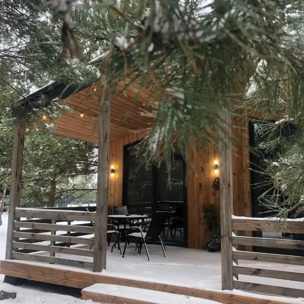 Equi Lis - будиночки для відпочинку，位于Yasnogorodka的酒店