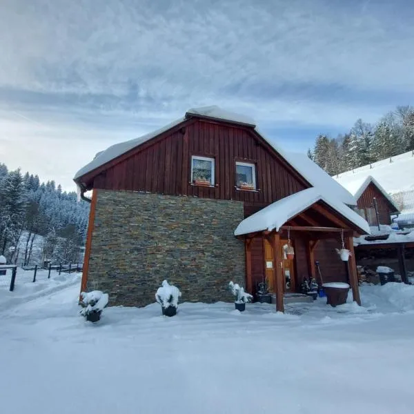 維塞勒利斯奇旅馆，位于Hutisko的酒店