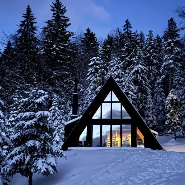 Vrleti Tare，位于巴伊纳巴什塔的酒店