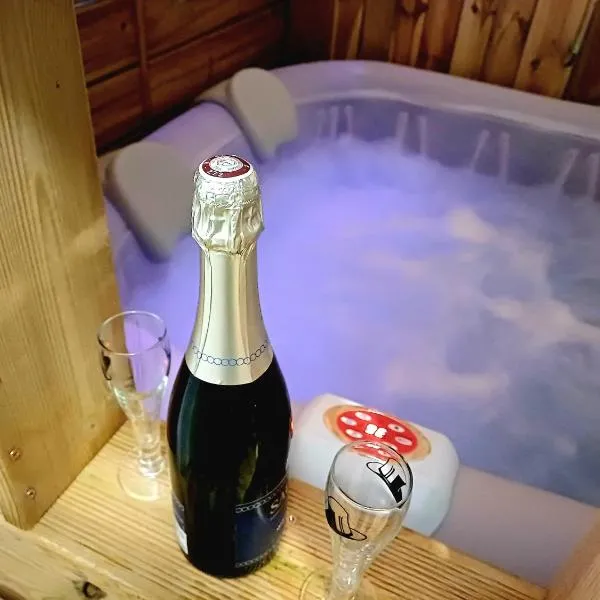 Maison privée billard spa dans village du Luberon，位于Cabrières-dʼAigues的酒店