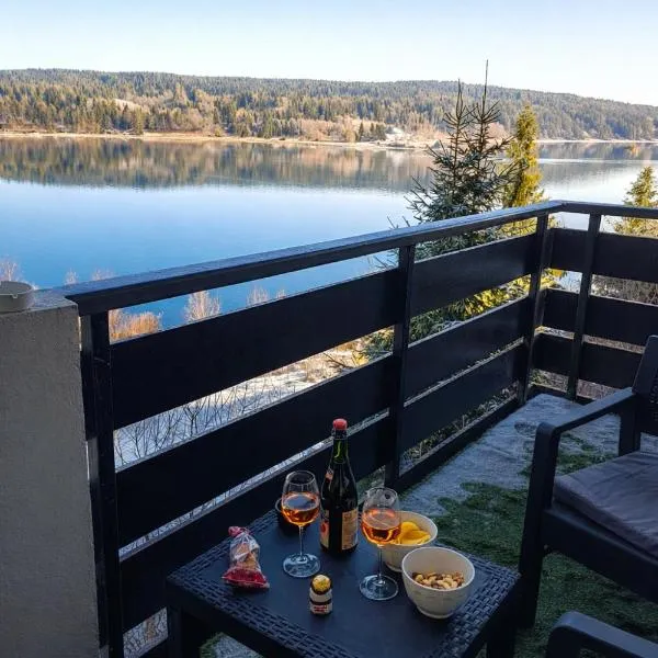 Refuge du Renard au Bord du Lac，位于马尔比伊松的酒店