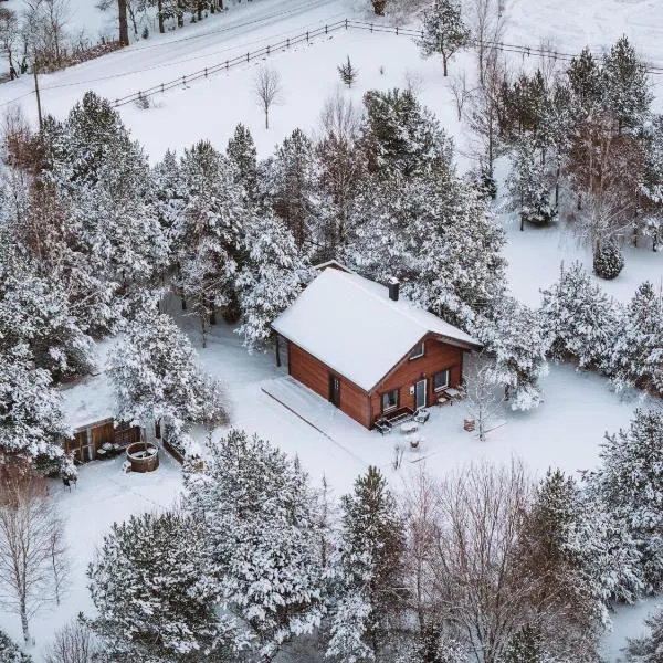 Männisalu cozy houses with hot tube and many extras，位于Mägari的酒店