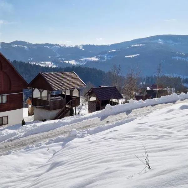 Pensiunea Amalia，位于戈尔达德苏斯的酒店