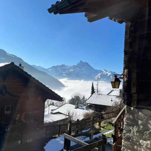 Chalet Les Marmouzets，位于格里翁的酒店