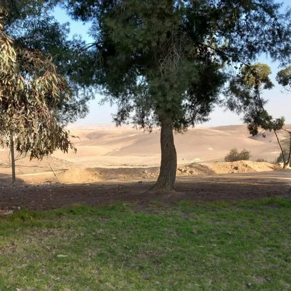 גאון מול המדבר，位于阿拉德的酒店