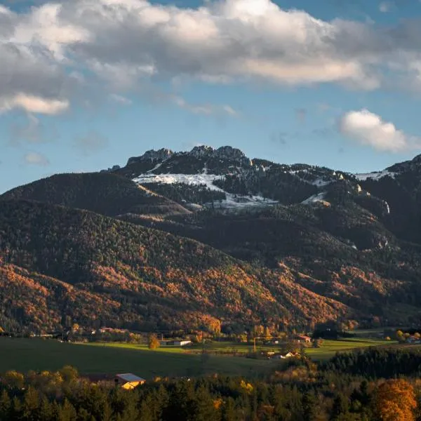 Servus Chiemgau - Große Wohnung mit Bergblick，位于弗拉斯多夫的酒店