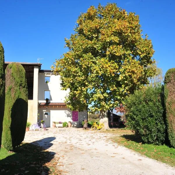 Agriturismo Corte Bonetti，位于佩斯坎蒂纳的酒店