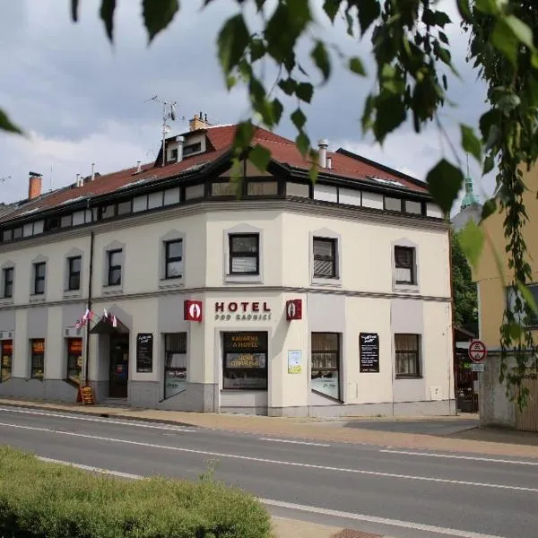 Hotel Pod Radnicí，位于Ves Raškov的酒店