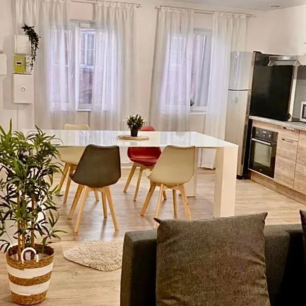 Duplex，位于Escaudain的酒店