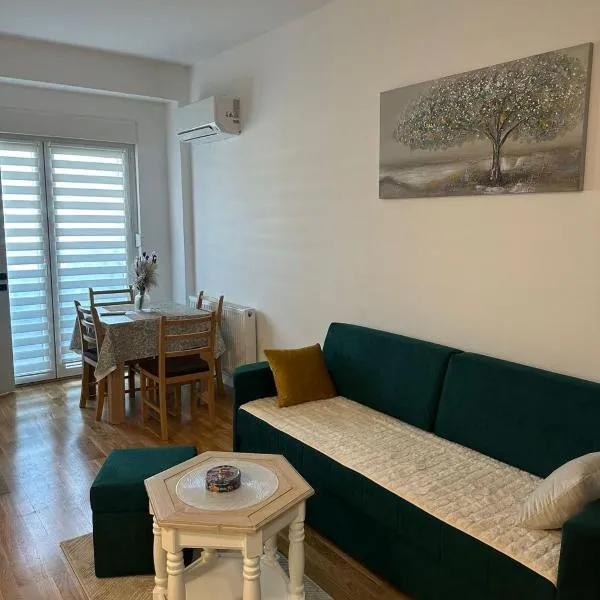 Apartman Lady A2 Istočno Sarajevo，位于Vranješ的酒店