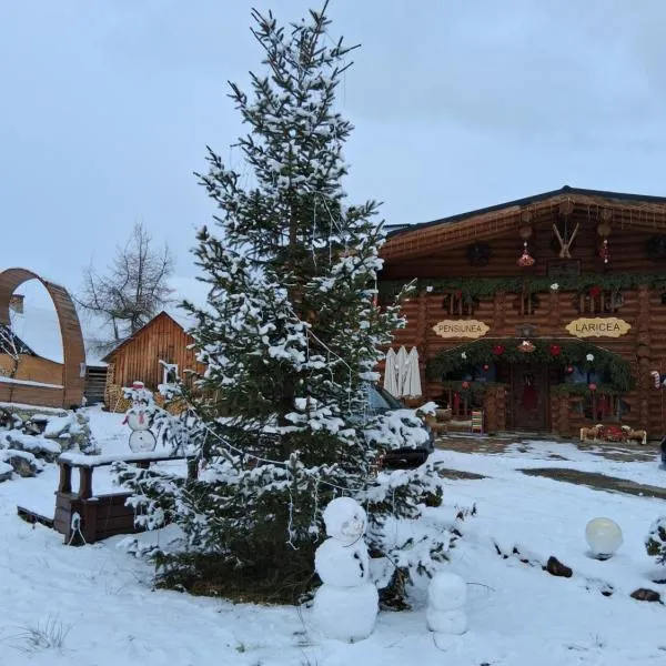 Pensiunea Laricea，位于瓦特拉多尔内的酒店