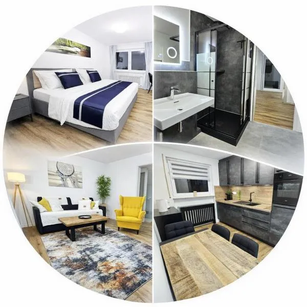 Ioana Homes Ferienwohnung，位于阿巴斯塔特的酒店