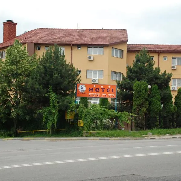 丽丽阿西尔酒店，位于Frăsinet的酒店