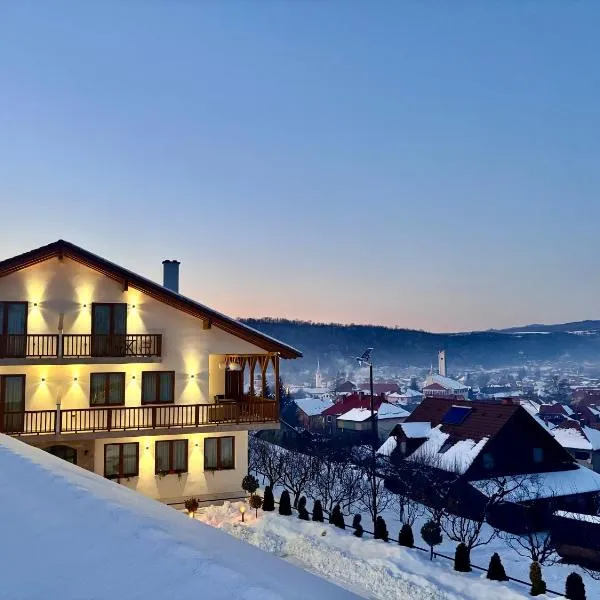 Pensiunea Patakparti 4，位于普拉伊德的酒店