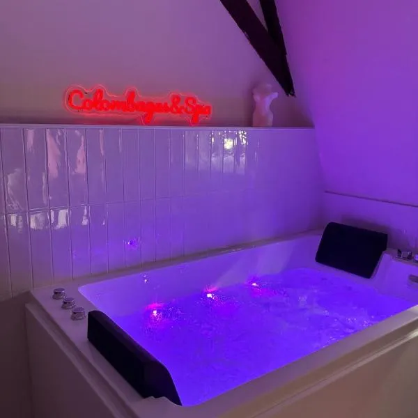 Colombages&Spa - Cœur Historique - Jacuzzi，位于布尔日的酒店