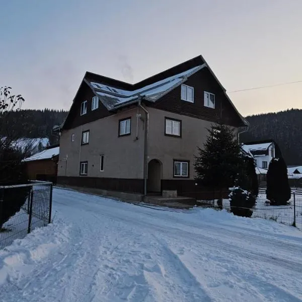 Casa LUMINITA，位于Cîrlibaba的酒店