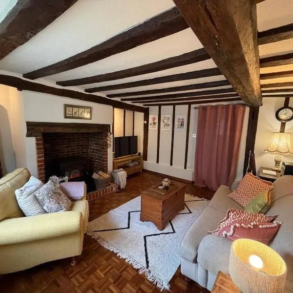 Pretty Cottage in Harleston, Norfolk, dog friendly，位于哈勒斯登的酒店