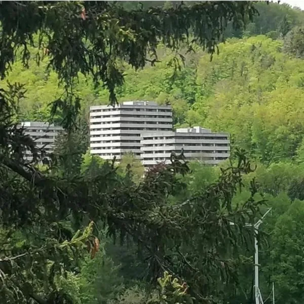 3 Zimmer Apartment Kostenfreien WLAN，位于巴特哈尔茨堡的酒店