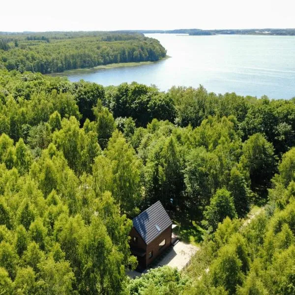 Mazury Witają - Nowoczesny dom nad jeziorem,位于Samin的酒店