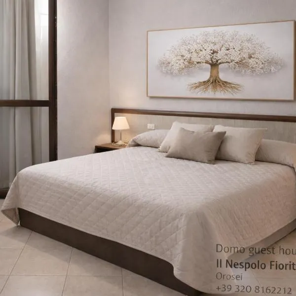 Domo - Guest-House Il Nespolo Fiorito，位于奥罗塞伊的酒店