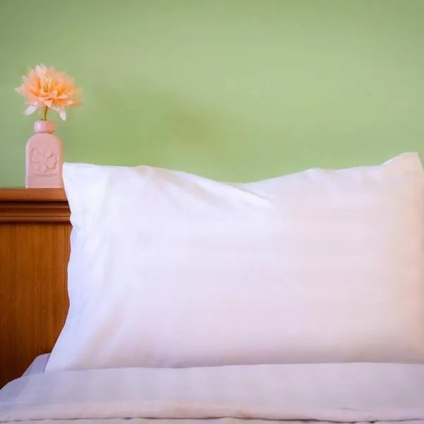 Saksiri apartment，位于Ban Si Than的酒店