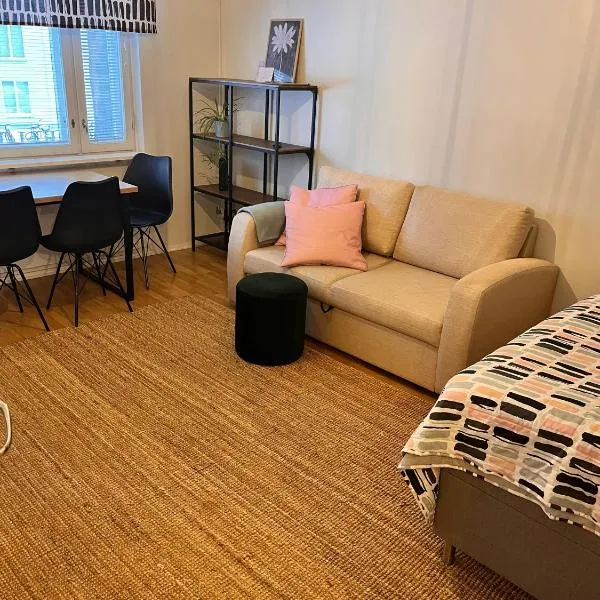 Studio in Joensuu，位于约恩苏的酒店