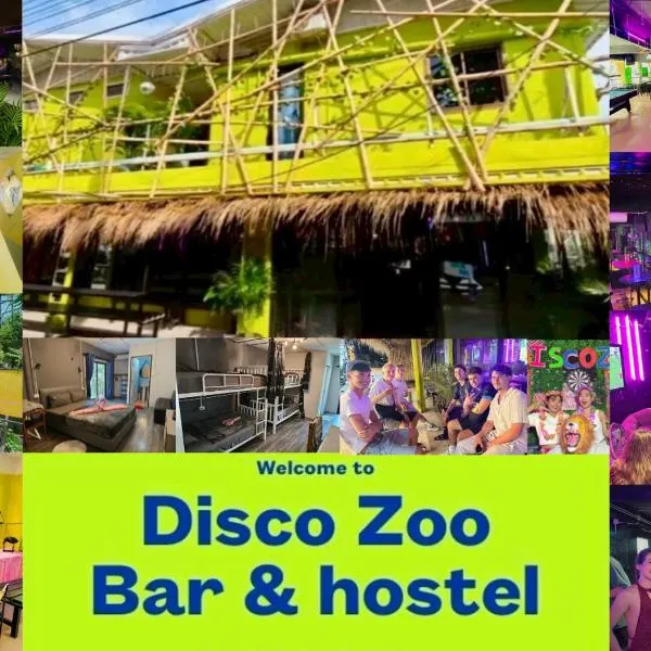 DISCO ZOO Bar & Hostel，位于哈林海滩的酒店