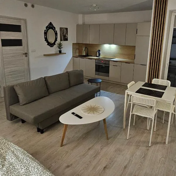 Apartament Studio Centrum，位于奇武胡夫的酒店