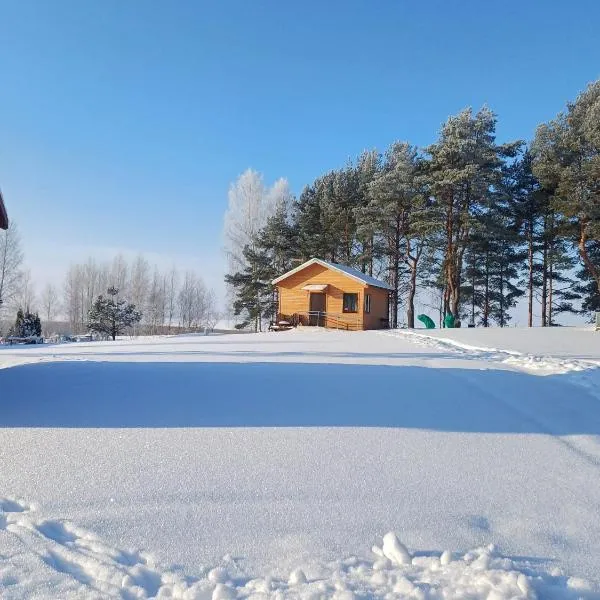 Rāznas ezera namiņš D1 ar elektrisko apkuri，位于Ragi的酒店