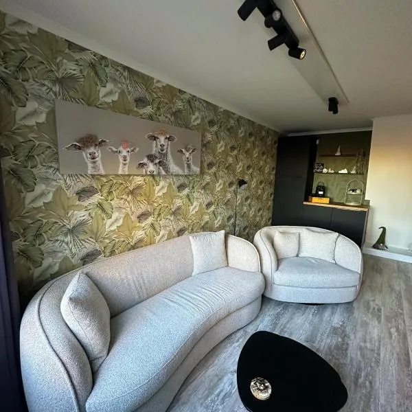 Holiday home Akkerzicht Oudesluis，位于Oudesluis的酒店