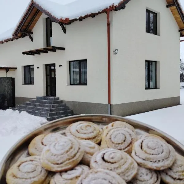 Casa Aida，位于Peşteana的酒店